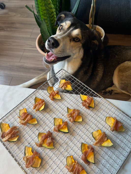 🤤 Dehydrated chicken breast over pumpkin