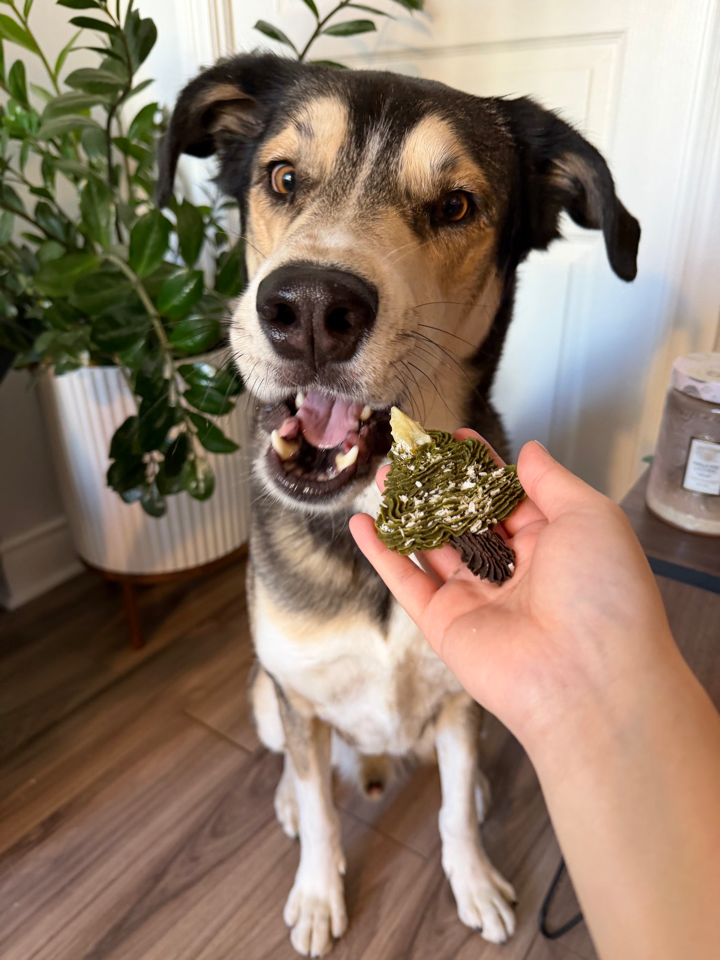 🤤 Christmas tree snack